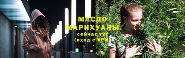 тгк Бородино