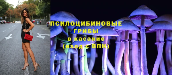 ECSTASY Верхний Тагил