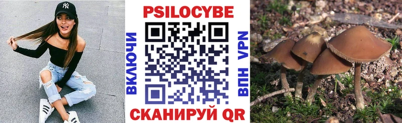 Галлюциногенные грибы Psilocybine cubensis  Купить закладки  Тында 