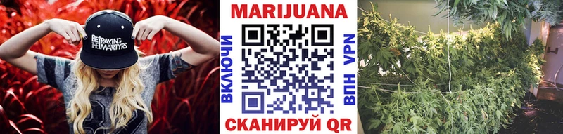 Купить закладки  Тында  Конопля семена 